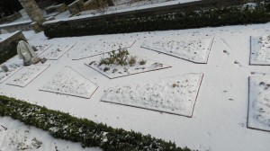 2013 HG The formal garden in winter